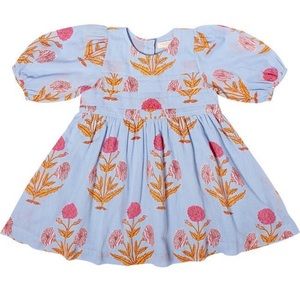 Pink Chicken Evelyn Dress sizes 7 & 10